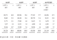 “抄底”俄罗斯的中国纸尿裤公司舒宝冲上市，但它急需开拓新市场